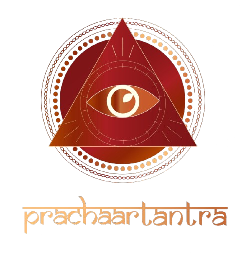 Social Media Partner 2